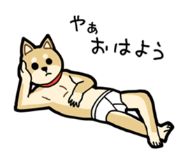 Shiba Inu dog man sticker #9387119