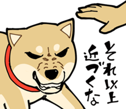 Shiba Inu dog man sticker #9387120