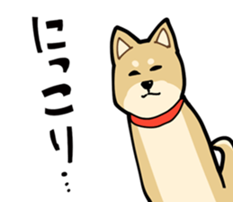 Shiba Inu dog man sticker #9387121