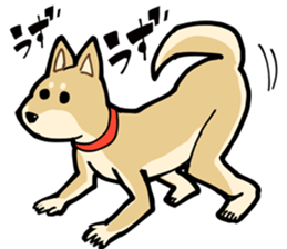 Shiba Inu dog man sticker #9387122