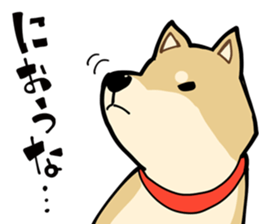 Shiba Inu dog man sticker #9387123