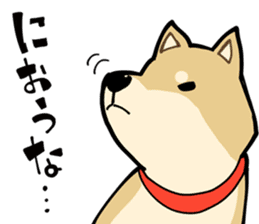Shiba Inu dog man sticker #9387123
