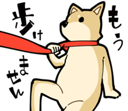 Shiba Inu dog man sticker #9387124