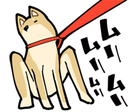 Shiba Inu dog man sticker #9387125