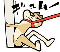 Shiba Inu dog man sticker #9387126