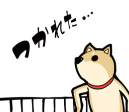 Shiba Inu dog man sticker #9387129