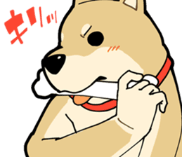 Shiba Inu dog man sticker #9387130