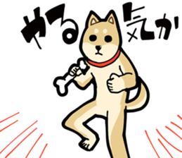 Shiba Inu dog man sticker #9387131