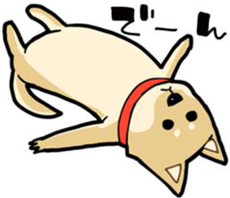 Shiba Inu dog man sticker #9387133