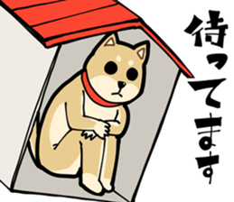 Shiba Inu dog man sticker #9387135