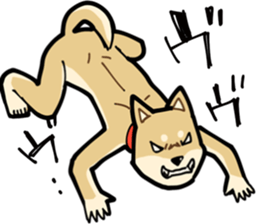 Shiba Inu dog man sticker #9387136