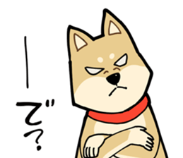 Shiba Inu dog man sticker #9387138