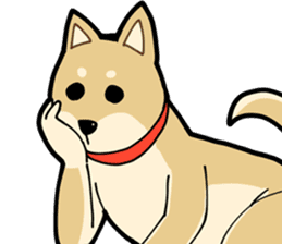 Shiba Inu dog man sticker #9387141