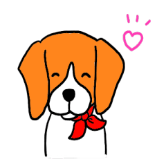 Cute beagle, Hana 2