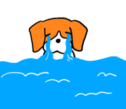 Cute beagle, Hana 2 sticker #9388404