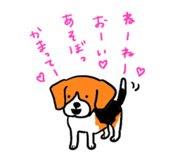 Cute beagle, Hana 2 sticker #9388405