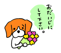 Cute beagle, Hana 2 sticker #9388417