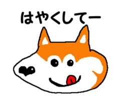 Shiba inu MOMO chan the third as well 14 sticker #9388840
