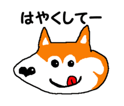 Shiba inu MOMO chan the third as well 14 sticker #9388840
