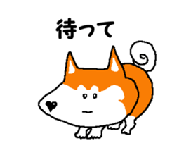 Shiba inu MOMO chan the third as well 14 sticker #9388841