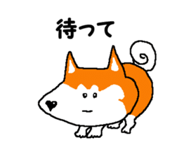 Shiba inu MOMO chan the third as well 14 sticker #9388841