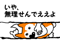 Shiba inu MOMO chan the third as well 14 sticker #9388843