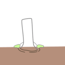 Green onion(world sticker #9388919