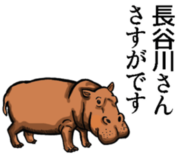 Sticker of Hasegawa sticker #9390707