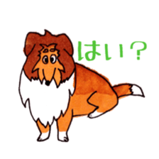 Sheltie George sticker #9391345
