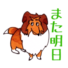 Sheltie George sticker #9391350