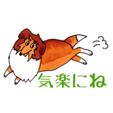 Sheltie George sticker #9391351