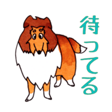 Sheltie George sticker #9391352