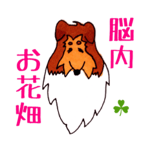 Sheltie George sticker #9391359