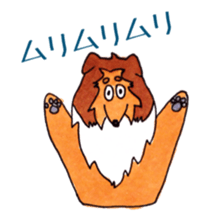 Sheltie George sticker #9391365