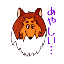 Sheltie George sticker #9391373