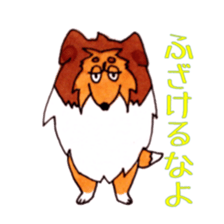 Sheltie George sticker #9391375