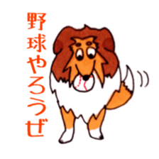 Sheltie George sticker #9391378