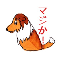 Sheltie George sticker #9391380