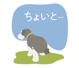 M Schnauzer HARU sticker #9393126