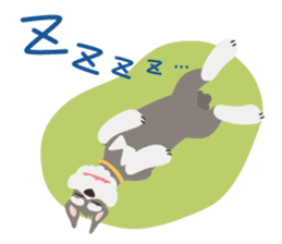 M Schnauzer HARU sticker #9393138