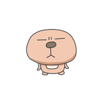 Squirre2(world sticker #9393548