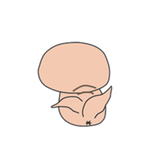 Squirre2(world sticker #9393554