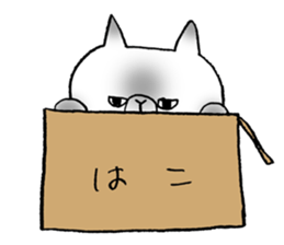 Nekoo exotic short hair(cat) vol.2 sticker #9395345