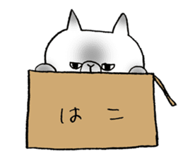 Nekoo exotic short hair(cat) vol.2 sticker #9395345