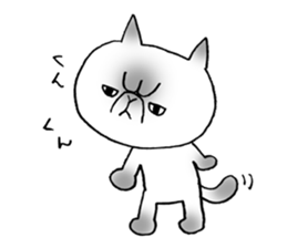 Nekoo exotic short hair(cat) vol.2 sticker #9395353