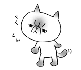 Nekoo exotic short hair(cat) vol.2 sticker #9395353