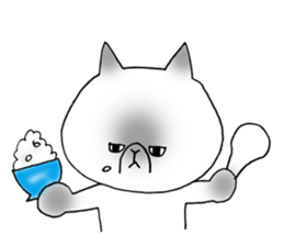 Nekoo exotic short hair(cat) vol.2 sticker #9395359