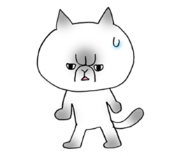 Nekoo exotic short hair(cat) vol.2 sticker #9395362