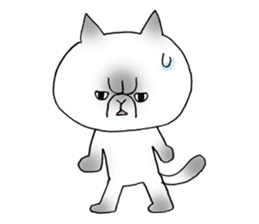 Nekoo exotic short hair(cat) vol.2 sticker #9395362