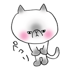 Nekoo exotic short hair(cat) vol.2 sticker #9395364